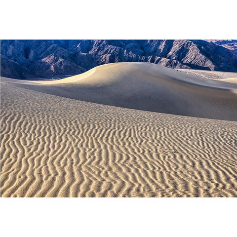 Mesquite Dunes-Death Valley National Park-California Black Modern Wood Framed Art Print by Ford, John