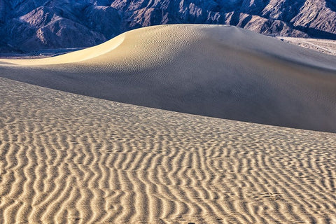 Mesquite Dunes-Death Valley National Park-California White Modern Wood Framed Art Print with Double Matting by Ford, John