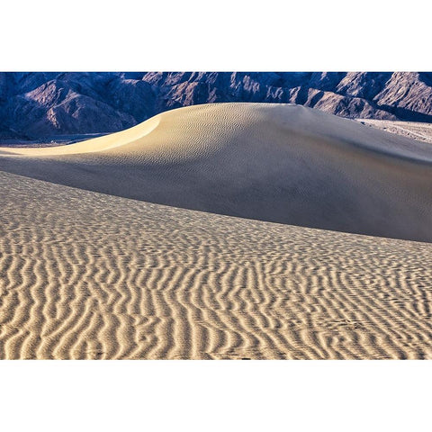 Mesquite Dunes-Death Valley National Park-California Black Modern Wood Framed Art Print by Ford, John