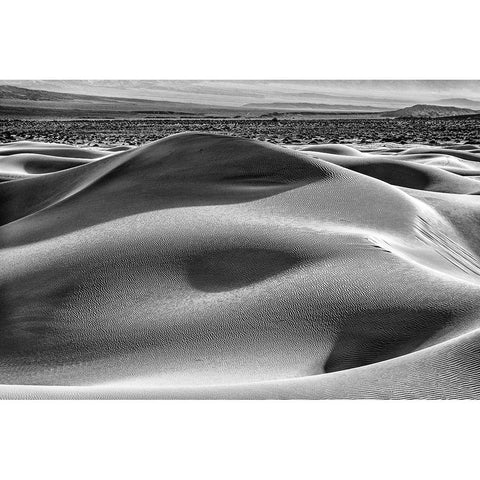 Mesquite Dunes-Death Valley National Park-California Gold Ornate Wood Framed Art Print with Double Matting by Ford, John
