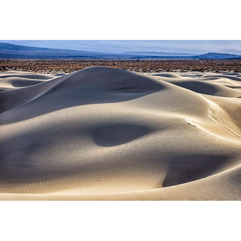Mesquite Dunes-Death Valley National Park-California Gold Ornate Wood Framed Art Print with Double Matting by Ford, John