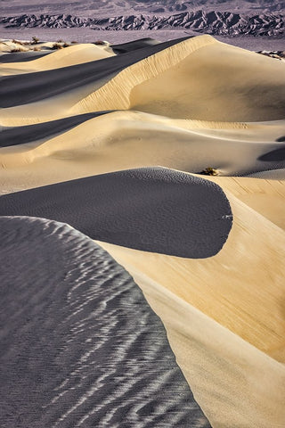 Mesquite Dunes-Death Valley National Park-California Black Ornate Wood Framed Art Print with Double Matting by Ford, John