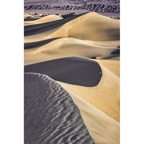 Mesquite Dunes-Death Valley National Park-California Black Modern Wood Framed Art Print by Ford, John