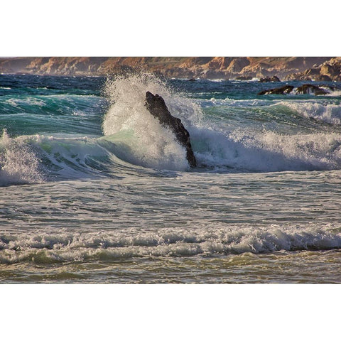 Garapata Beach-Carmel by the Sea-California Gold Ornate Wood Framed Art Print with Double Matting by Ford, John
