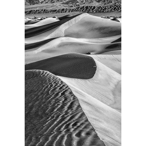 Mesquite Dunes-Death Valley National Park-California Gold Ornate Wood Framed Art Print with Double Matting by Ford, John