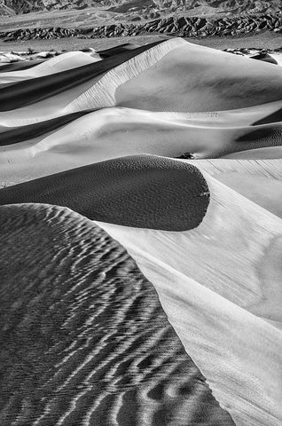 Mesquite Dunes-Death Valley National Park-California White Modern Wood Framed Art Print with Double Matting by Ford, John