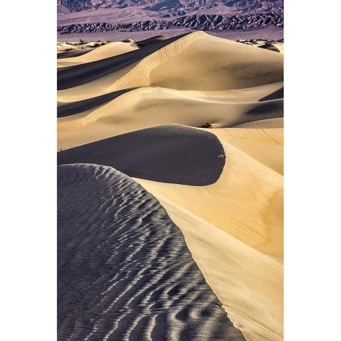 Mesquite Dunes-Death Valley National Park-California Black Modern Wood Framed Art Print with Double Matting by Ford, John
