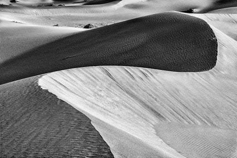 Mesquite Dunes-Death Valley National Park-California White Modern Wood Framed Art Print with Double Matting by Ford, John