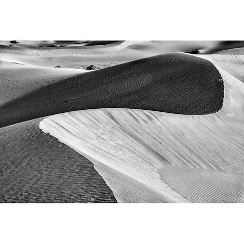 Mesquite Dunes-Death Valley National Park-California Gold Ornate Wood Framed Art Print with Double Matting by Ford, John