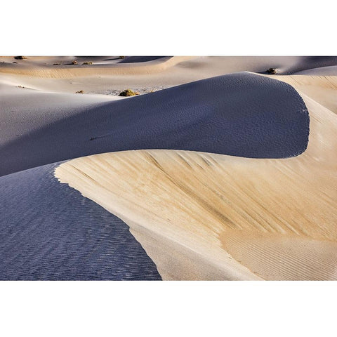 Mesquite Dunes-Death Valley National Park-California Black Modern Wood Framed Art Print with Double Matting by Ford, John