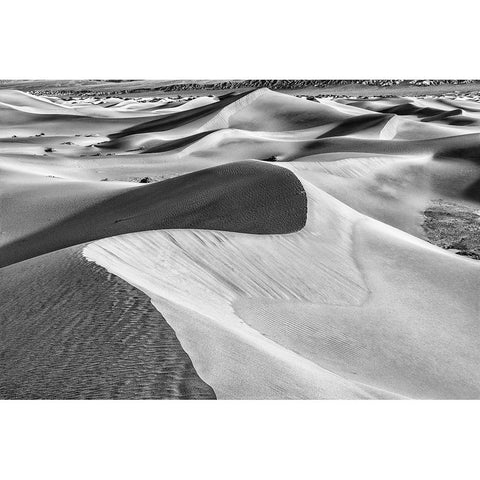 Mesquite Dunes-Death Valley National Park-California Black Modern Wood Framed Art Print by Ford, John