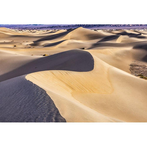 Mesquite Dunes-Death Valley National Park-California Black Modern Wood Framed Art Print by Ford, John