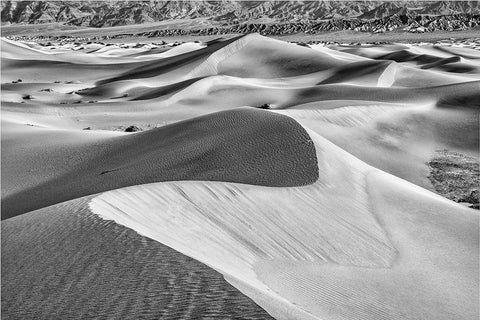 Mesquite Dunes-Death Valley National Park-California White Modern Wood Framed Art Print with Double Matting by Ford, John