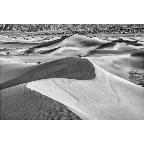 Mesquite Dunes-Death Valley National Park-California White Modern Wood Framed Art Print by Ford, John