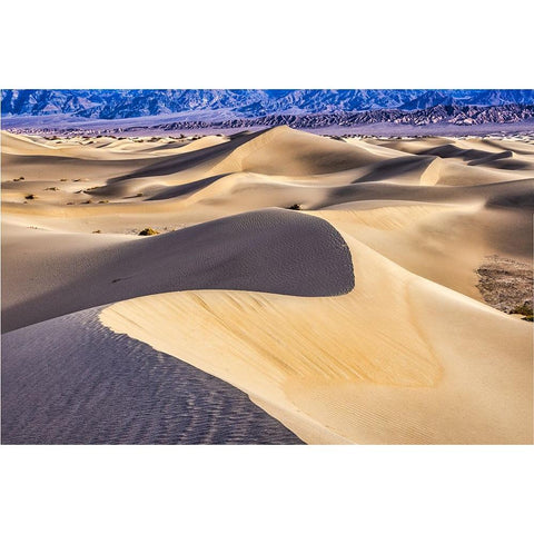 Mesquite Dunes-Death Valley National Park-California Black Modern Wood Framed Art Print by Ford, John