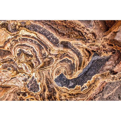 Marble Abstract-Titus Canyon-Death Valley Black Modern Wood Framed Art Print by Ford, John