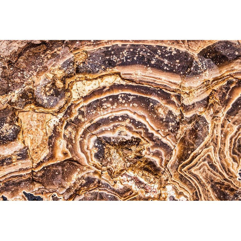 Marble Abstract-Titus Canyon-Death Valley White Modern Wood Framed Art Print by Ford, John