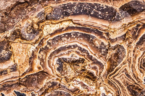 Marble Abstract-Titus Canyon-Death Valley Black Ornate Wood Framed Art Print with Double Matting by Ford, John
