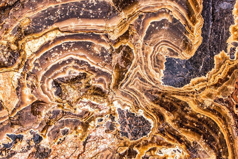 Marble Abstract-Titus Canyon-Death Valley White Modern Wood Framed Art Print with Double Matting by Ford, John