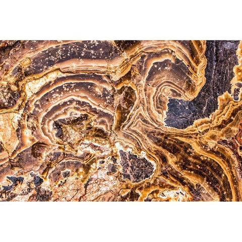 Marble Abstract-Titus Canyon-Death Valley Black Modern Wood Framed Art Print by Ford, John