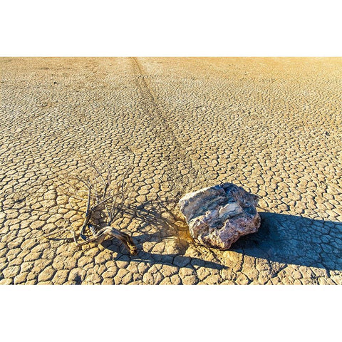 Race Track Rocks-Death Valley-California Black Modern Wood Framed Art Print by Ford, John