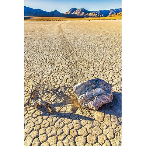 Race Track Rocks-Death Valley-California Black Modern Wood Framed Art Print by Ford, John