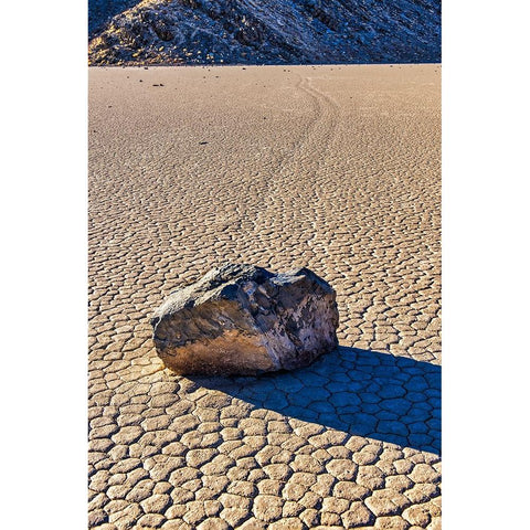 Race Track Rocks-Death Valley-California Black Modern Wood Framed Art Print with Double Matting by Ford, John