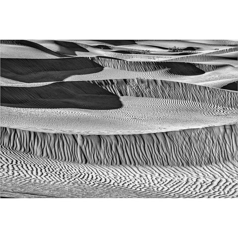 Mesquite Dunes-Death Valley National Park-California White Modern Wood Framed Art Print by Ford, John