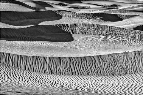 Mesquite Dunes-Death Valley National Park-California White Modern Wood Framed Art Print with Double Matting by Ford, John