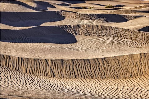Mesquite Dunes-Death Valley National Park-California White Modern Wood Framed Art Print with Double Matting by Ford, John