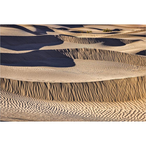 Mesquite Dunes-Death Valley National Park-California Black Modern Wood Framed Art Print by Ford, John