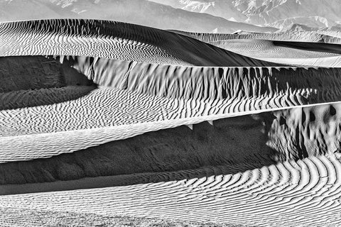 Mesquite Dunes-Death Valley National Park-California White Modern Wood Framed Art Print with Double Matting by Ford, John