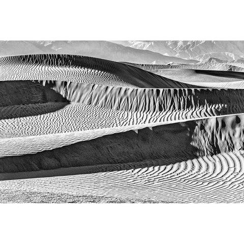 Mesquite Dunes-Death Valley National Park-California Black Modern Wood Framed Art Print by Ford, John