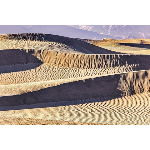Mesquite Dunes-Death Valley National Park-California Black Modern Wood Framed Art Print by Ford, John
