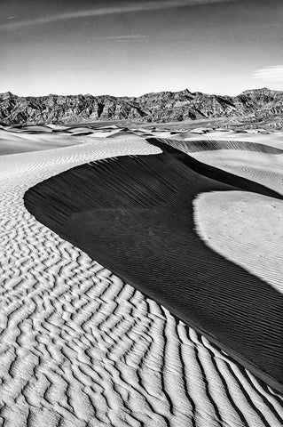 Mesquite Dunes-Death Valley National Park-California White Modern Wood Framed Art Print with Double Matting by Ford, John