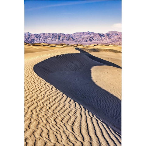 Mesquite Dunes-Death Valley National Park-California White Modern Wood Framed Art Print by Ford, John