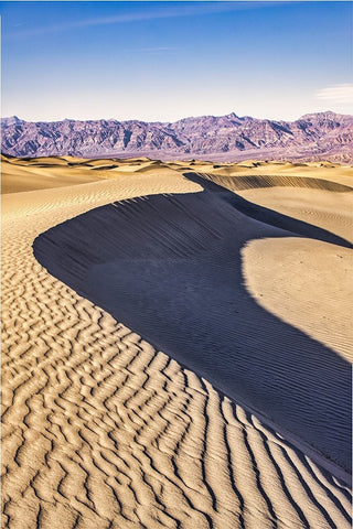 Mesquite Dunes-Death Valley National Park-California Black Ornate Wood Framed Art Print with Double Matting by Ford, John