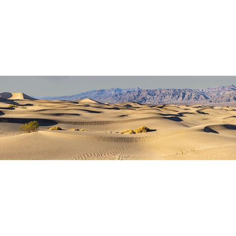 Mesquite Dunes-Death Valley National Park-California Black Modern Wood Framed Art Print with Double Matting by Ford, John