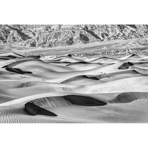 Mesquite Dunes-Death Valley National Park-California Black Modern Wood Framed Art Print with Double Matting by Ford, John