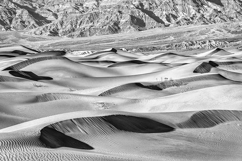 Mesquite Dunes-Death Valley National Park-California White Modern Wood Framed Art Print with Double Matting by Ford, John
