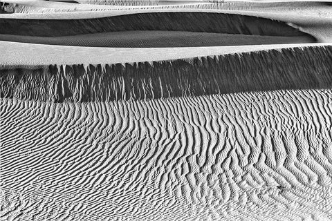Mesquite Dunes-Death Valley National Park-California White Modern Wood Framed Art Print with Double Matting by Ford, John