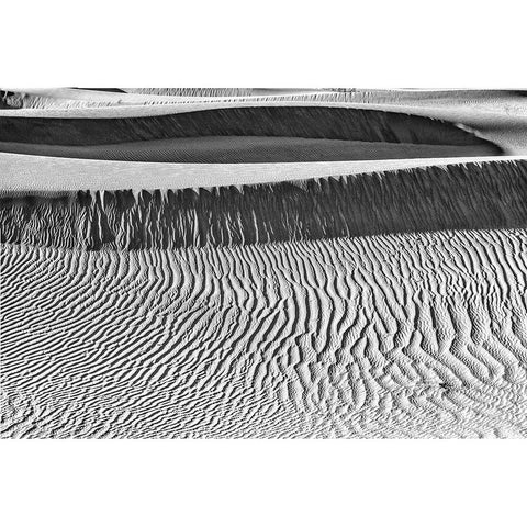 Mesquite Dunes-Death Valley National Park-California Black Modern Wood Framed Art Print by Ford, John