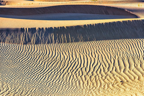 Mesquite Dunes-Death Valley National Park-California White Modern Wood Framed Art Print with Double Matting by Ford, John