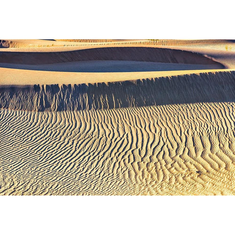 Mesquite Dunes-Death Valley National Park-California Black Modern Wood Framed Art Print by Ford, John