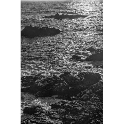 China Cove-Point Lobos-California White Modern Wood Framed Art Print by Ford, John