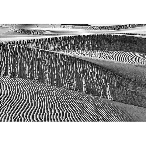 Mesquite Dunes-Death Valley National Park-California Black Modern Wood Framed Art Print by Ford, John