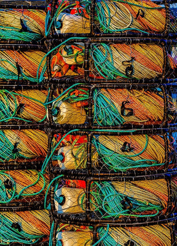 California-USA-Crescent City-Crescent City Marina Black Ornate Wood Framed Art Print with Double Matting by Restuccia, Joe III