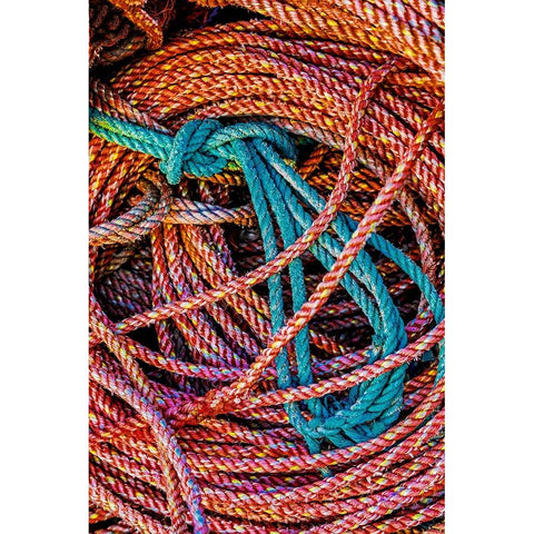 California-USA-Crescent City-Crescent City Marina Black Modern Wood Framed Art Print with Double Matting by Restuccia, Joe III