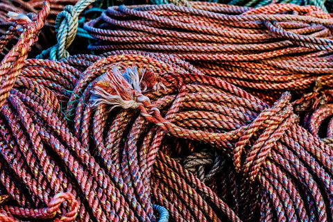 California-USA-Crescent City-Crescent City Marina Black Ornate Wood Framed Art Print with Double Matting by Restuccia, Joe III