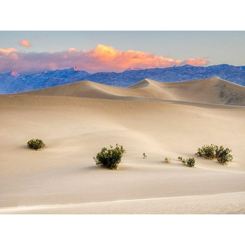 California Death Valley National Park-Mesquite Flat Sand Dunes Black Modern Wood Framed Art Print by Wild, Jamie and Judy